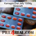 Kamagra Oral Jelly 100Mg Sildenafil 05